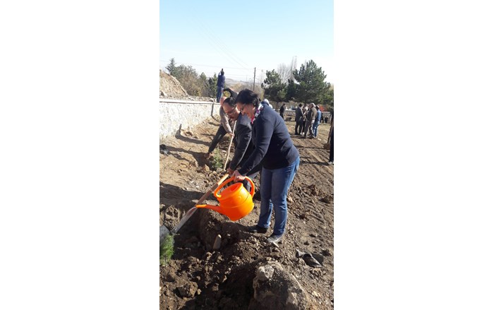 IMG-20191111-WA0011