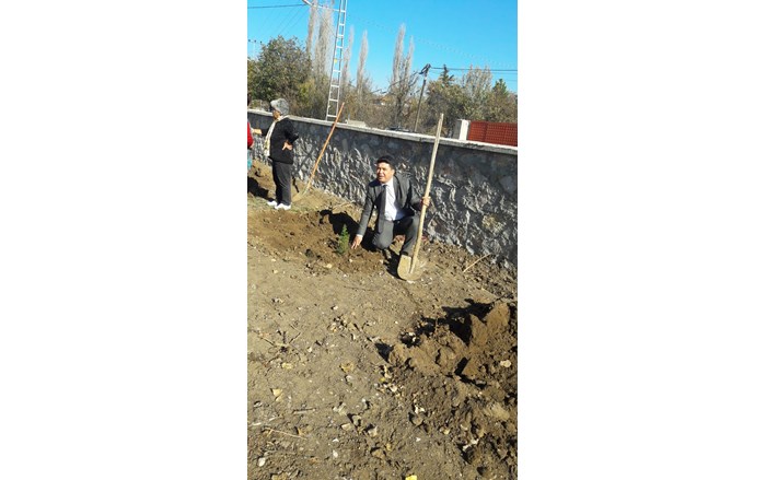 IMG-20191111-WA0013