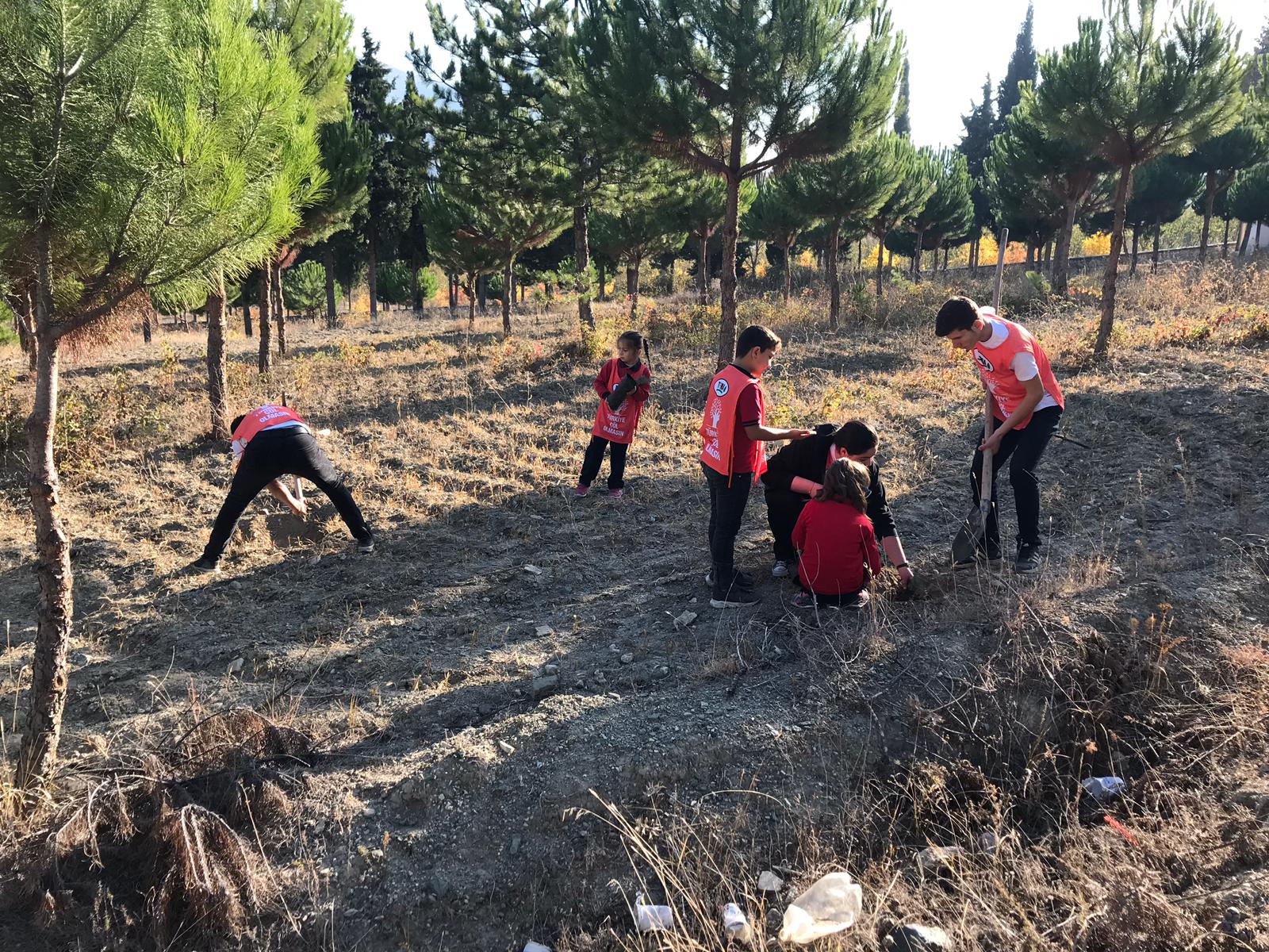 IMG-20191111-WA0026