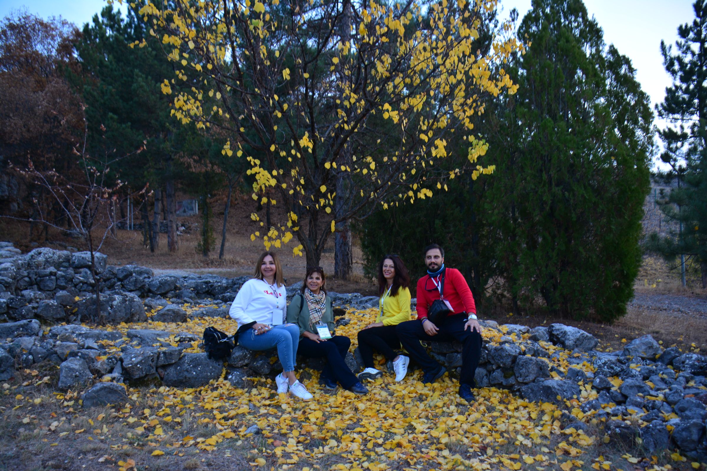yhkb_image020