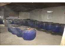 5 ton kaçak içki yakalandı