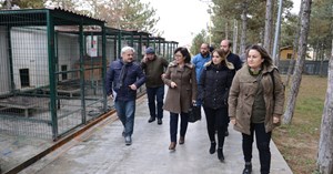 Sungurlu'ya hayvan bakımevi kurulacak