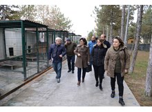 Sungurlu'ya hayvan bakımevi kurulacak