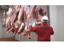 Gıda Bankası’ından “adak kurban” hizmeti