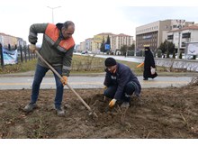 Çorum, bahara rengârenk çiçeklerle uyanacak