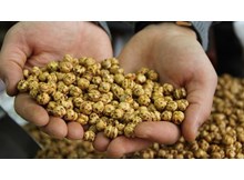 Aşgın’dan 81 ildeki 81 okula leblebi