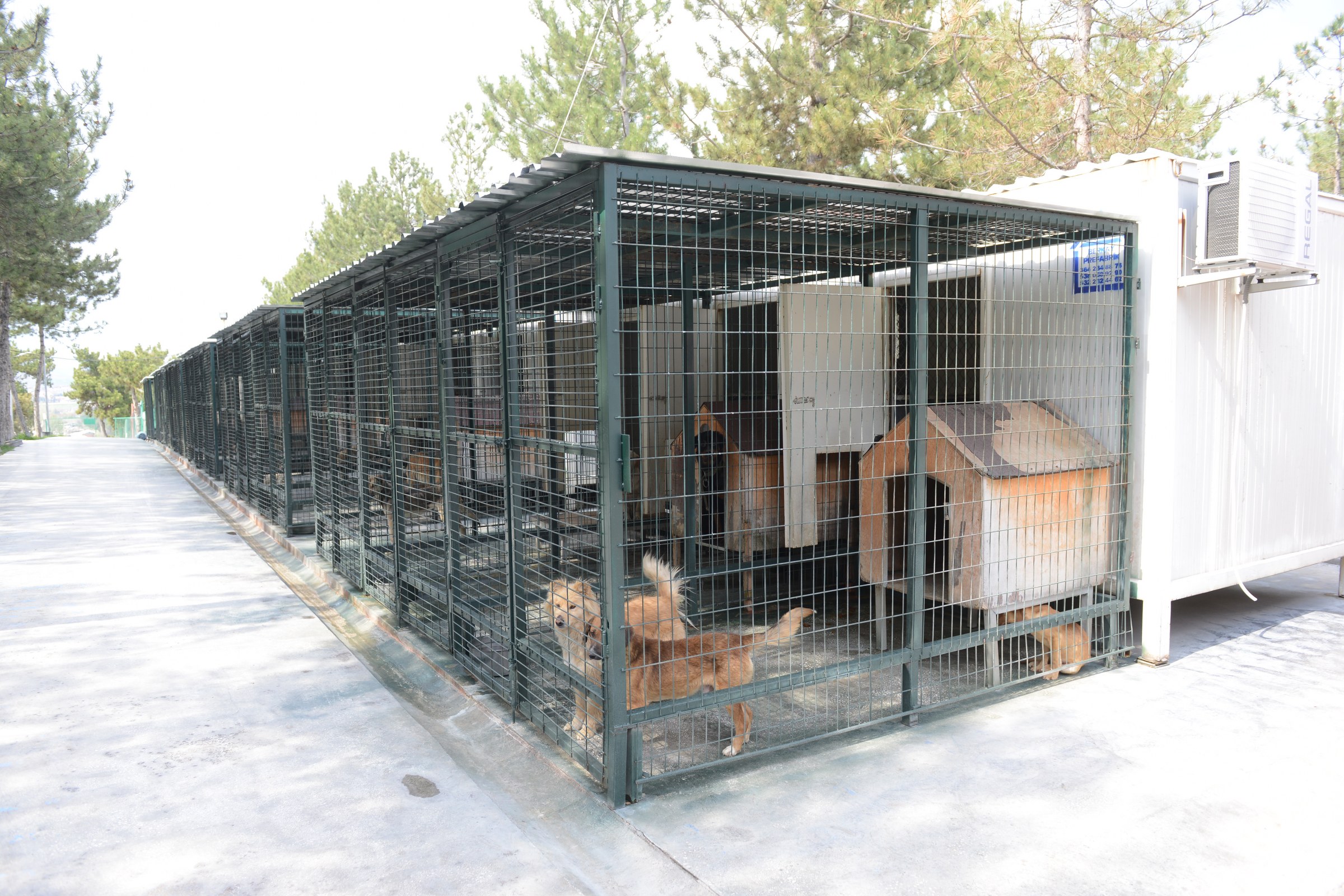 hayvan bak_m ve rehabilitasyon merkezi (3)