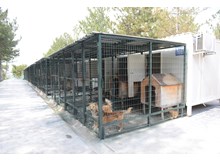 Hayvanların keyfi yerinde