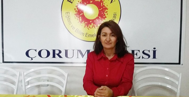 nurcan hasırcı doğan