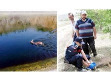 Sulama kanalına düşen karacayı jandarma kurtardı