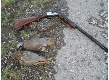 Keklik avcısına ceza!