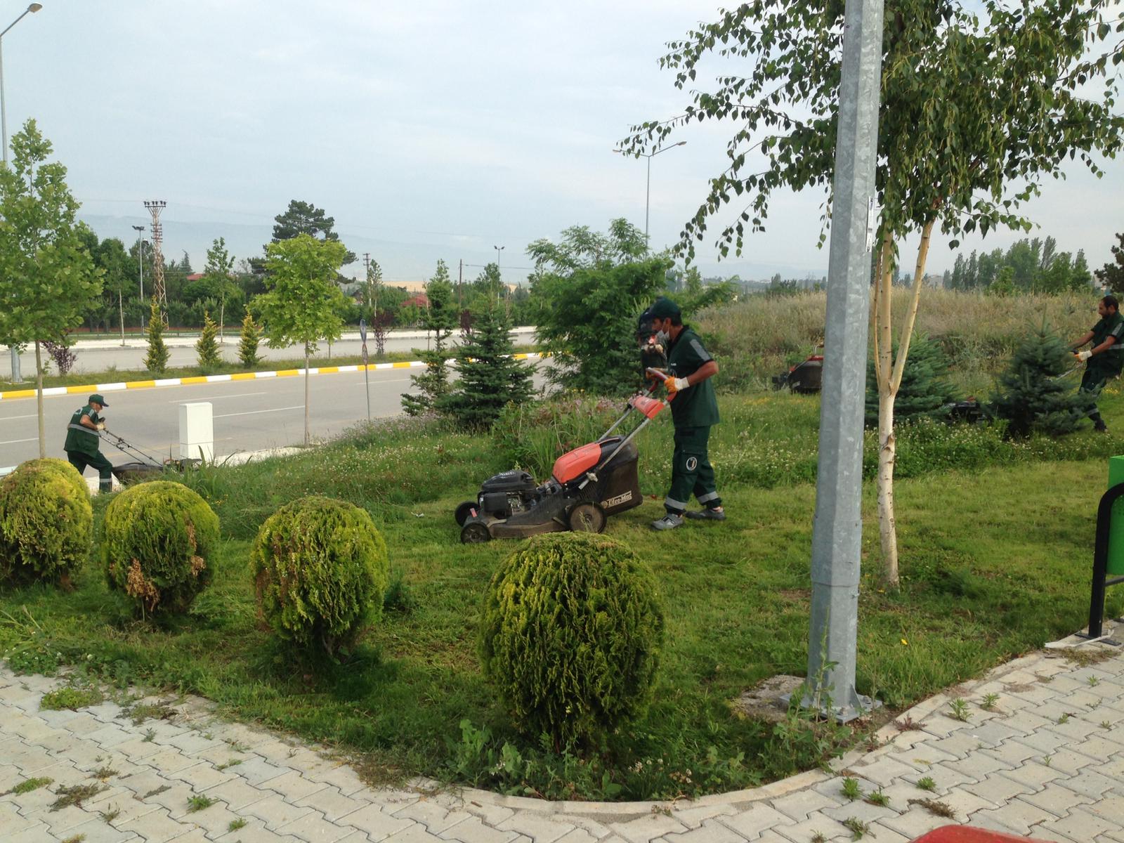 çim biçme (2)