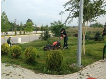 Çim biçme çalışmaları devam ediyor