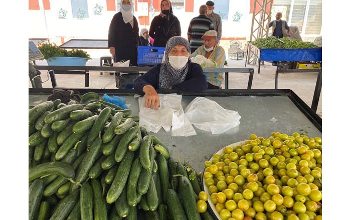 IMG-0183