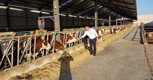 Çorum’da 14 hastalıktan ari işletme var