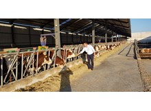 Çorum’da 14 hastalıktan ari işletme var