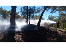 Osmancık’ta orman yangını