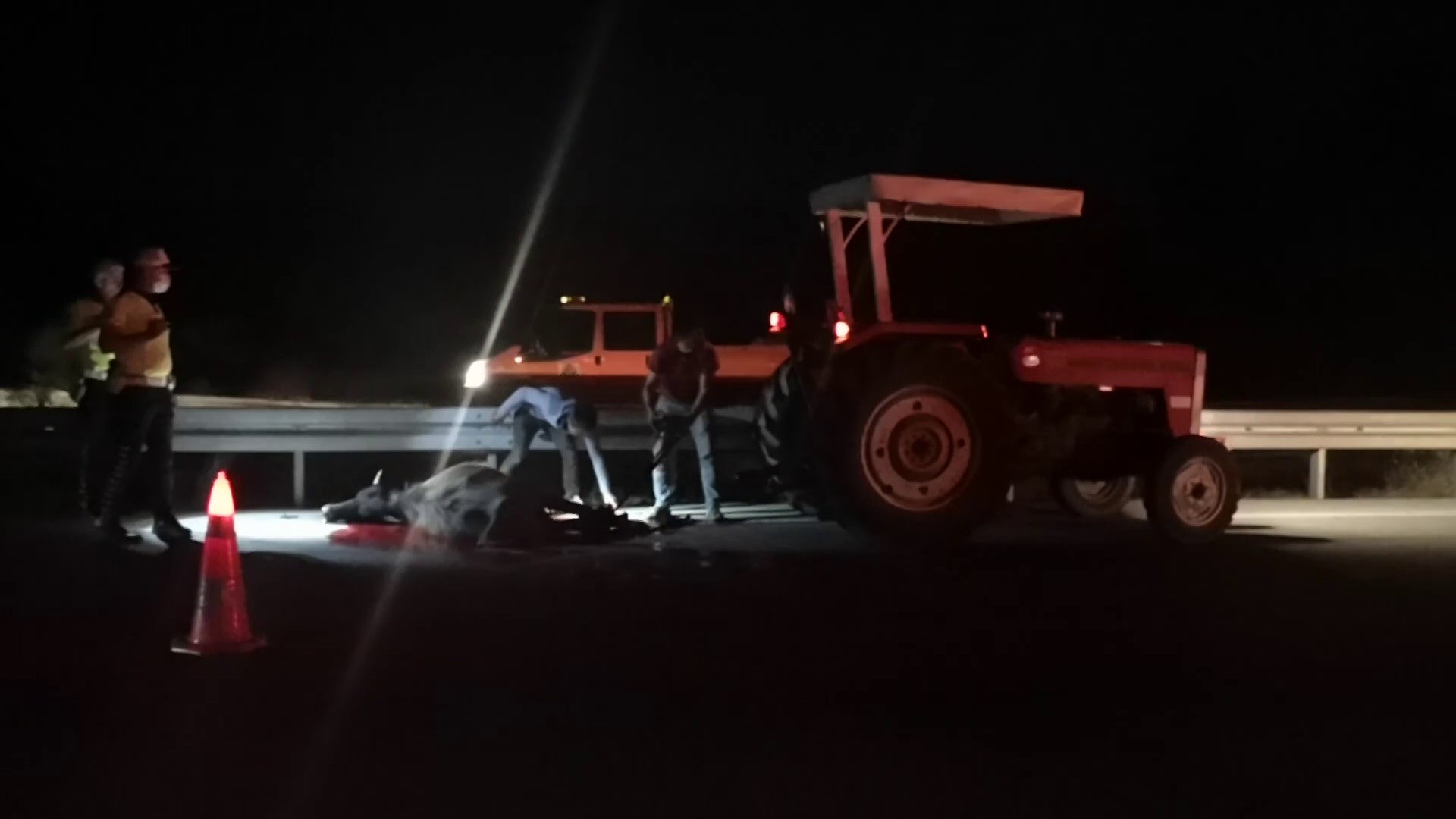 ARAÇ ÇARPAN 2 HAYVAN TELEF OLDU KAZAYA KARIŞAN ARAÇ VE SÜRÜCÜSÜ BULUNAMADI