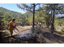 Osmancık’ta aynı yerde iki gün arayla orman yangını