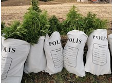 Hint keneviri ve esrar maddesi ele geçirildi