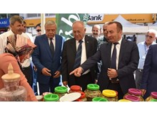 İskilip’e turşu fabrikası