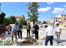 Recep Tayyip Erdoğan Caddesi ‘ıhlamur’ kokacak
