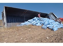 Tohum yüklü tır devrildi