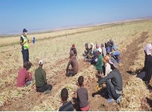 Jandarma’dan tarım işçilerini taşıyan araçlara denetim