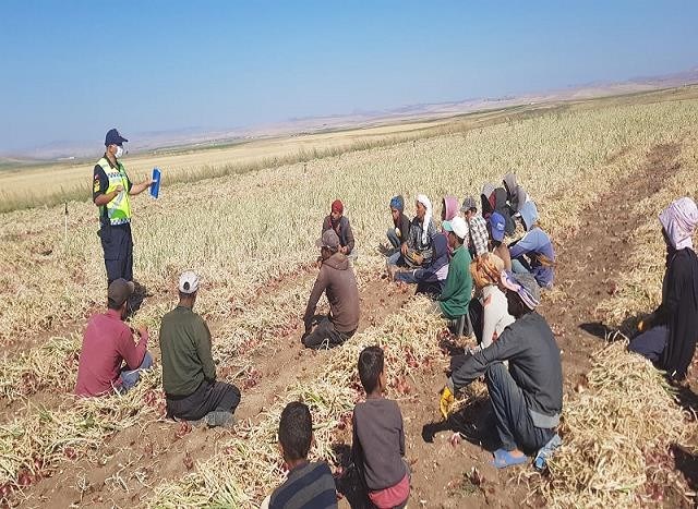 JANDARMA'DAN TARIM İŞÇİLERİNİ TAŞIYAN ARAÇLARA DENETİM DENETİMLERDE 425 ARAÇ VE SÜRÜCÜSÜ KONTROL EDİLİRKEN, 16 ARAÇ VE SÜRÜCÜSÜNE İDARİ PARA CEZASI UYGULANDI