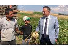 “Şeker pancarı üretiminin önü açılmalı”