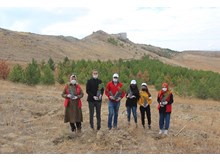 Sungurlu OSB'ye 500 adet çam fidanı dikildi