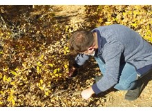 Sungurlu’da süne sürvey çalışmaları başladı