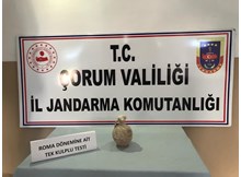 Tarihi eser kaçakçısı müşteri kılığındaki jandarmaya yakalandı