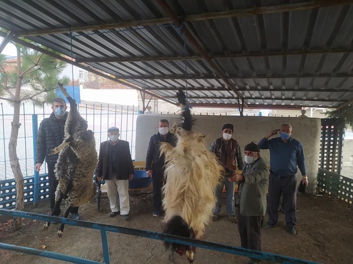 KURBAN KESİP YAĞMUR DUASINA ÇIKTILAR