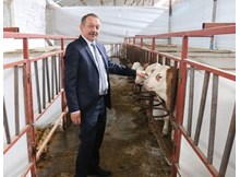 Hayvancılık destekleme başvuruları başladı