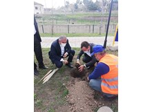 Alaca’da yeşil seferberlik