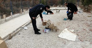 Ortaköy Kaymakamlığı’ndan duyarlı davranış