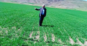 “Tarımsal üretim seferberliği başlatılmalıdır”