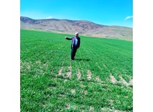 “Tarımsal üretim seferberliği başlatılmalıdır”