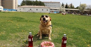 O artık emekli…