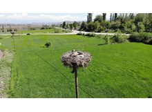 Onlar bizim özel misafirimiz