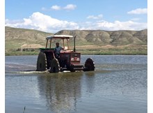 Sungurlu'da çeltik ekimi başladı