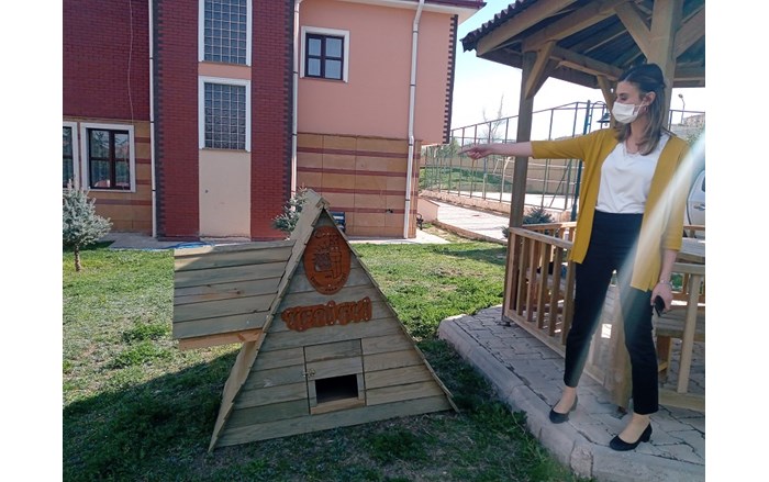 Kedi-evi-2