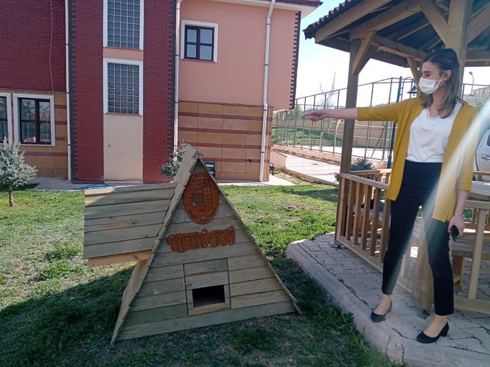 Kedi-evi-2