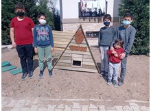 Sokağımızın kedileri güvenli ellerde