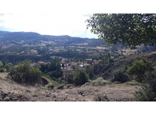 Ayılar, köyün huzurunu kaçırdı