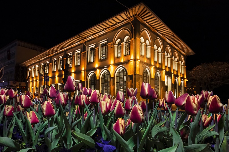 1.lik _d_l__belediye ve laleler_Mustafa G_v_2700x1800