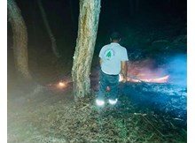 Yıldırım düştü, ormanda yangın çıktı