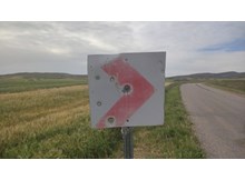 Milli servete maganda kurşunu