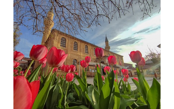 2.lik-_d_l_-baharda__orum_4_Muhammet-Ra_it-Bolat_2428x1800